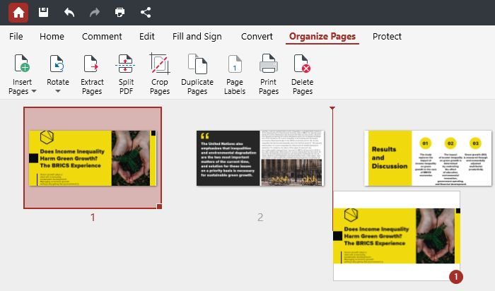 PDF Extra: organizer module page visualizer section